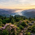 Great Smoky Mountains National Park guide